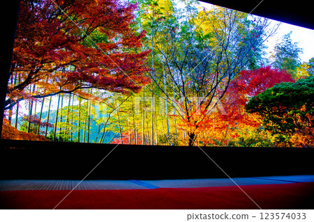 【京都風光】寶泉院：黃昏時分的秋葉染紅庭園 123574033