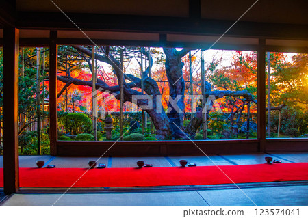 [Kyoto Scenery] Hosen-in Temple: A garden dyed in autumn leaves just before dusk 123574041