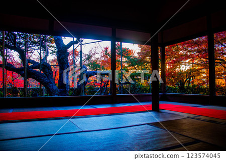 【京都風光】寶泉院:黃昏時分的秋葉染紅庭園 【京都風光】寶泉院:黃昏時分的秋葉染紅庭園 123574045
