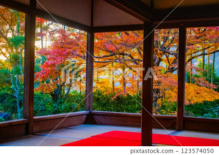 [Kyoto Scenery] Hosen-in Temple: A garden dyed in autumn leaves just before dusk 123574050