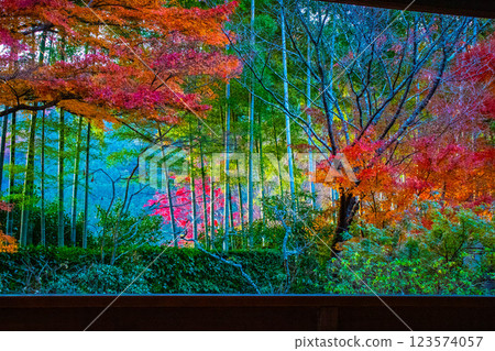 [Kyoto Scenery] Hosen-in Temple: A garden dyed in autumn leaves just before dusk 123574057