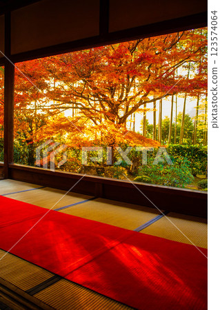【京都風光】寶泉院：黃昏時分的秋葉染紅庭園 123574064