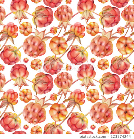 Cloudberry raspberry sloe fruit on receptacle stalk with leaves petals, watercolor hand drawn, red ripe forest berry dewberry boysenberry mulberry loganberry. Botanical seamless pattern illustration 123574244