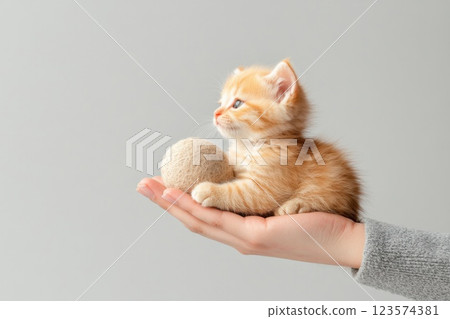 Veterinarian caring for rescued kitten in bright shelter setting 123574381