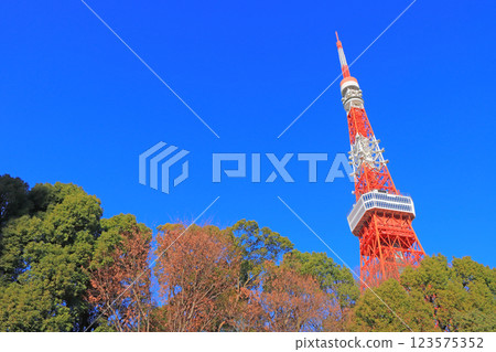 東京都港區東京鐵塔風景 東京都港區東京鐵塔風景 123575352