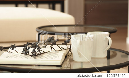 日本新樣品屋客廳裡的沙發和桌子 123575411