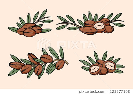 Realistic hand drawn argan oil element collection 123577108