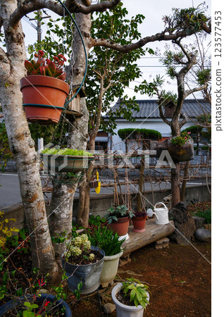 gardening gardening 123577453