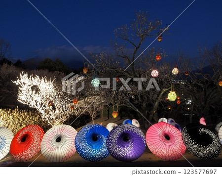 Shizuoka Prefecture: Illumination of Japanese umbrellas and lanterns in February 123577697