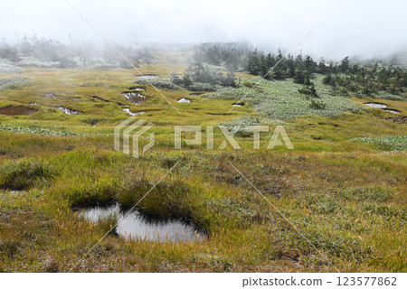 苗場山,健行,新潟縣 苗場山,健行,新潟縣 123577862