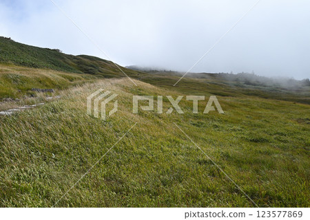 苗場山,健行,新潟縣 苗場山,健行,新潟縣 123577869