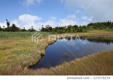 Mount Naeba, Hiking, Niigata Prefecture 123578254