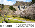 櫻花和水壩風景 123578759