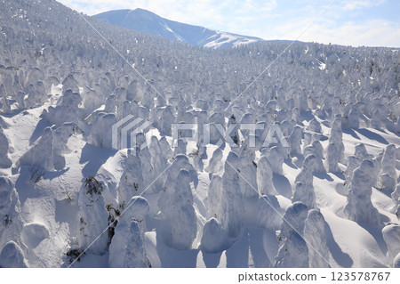 藏王的霧凇（山形縣山形市） 123578767