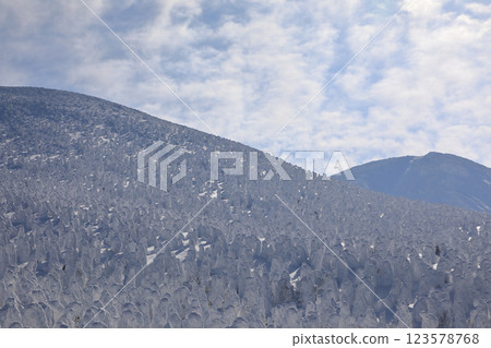 Rime trees of Zao (Yamagata City, Yamagata Prefecture) 123578768