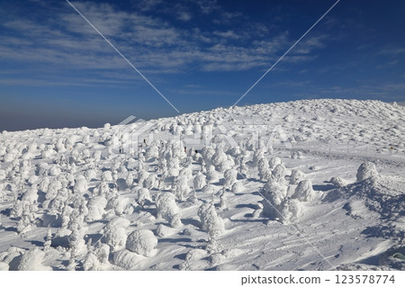 藏王的霧凇（山形縣山形市） 123578774