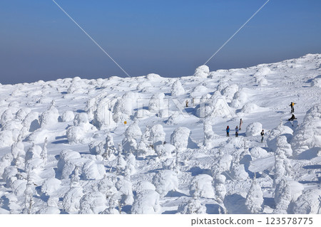 Rime trees of Zao (Yamagata City, Yamagata Prefecture) Rime trees of Zao (Yamagata City, Yamagata Prefecture) 123578775