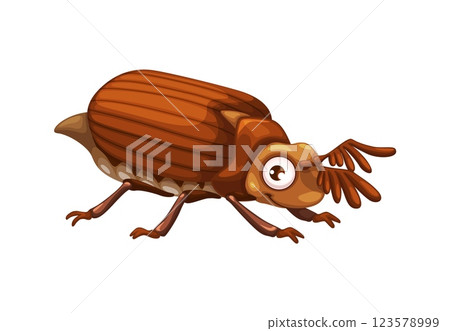 Cartoon funny May beetle insect character, vector bug mascot for kids. Cartoon May beetle or June bug with smile on face and googly eyes, small cute insect from farm garden or forest 123578999