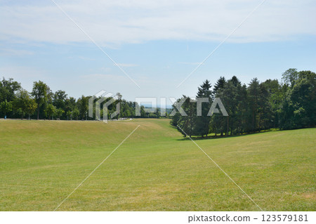 Cmrok meadow Cmrok meadow 123579181