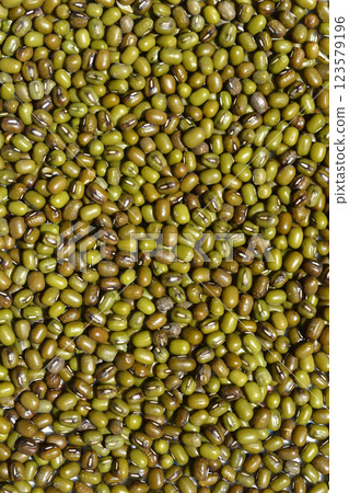Mung beans 123579196