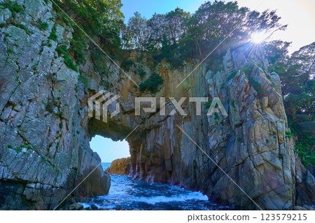 Hakusan Cave, a natural monument at Cape Ashizuri in Tosashimizu, Kochi Prefecture Hakusan Cave, a natural monument at Cape Ashizuri in Tosashimizu, Kochi Prefecture 123579215