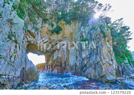 Hakusan Cave, a natural monument at Cape Ashizuri in Tosashimizu, Kochi Prefecture Hakusan Cave, a natural monument at Cape Ashizuri in Tosashimizu, Kochi Prefecture 123579220