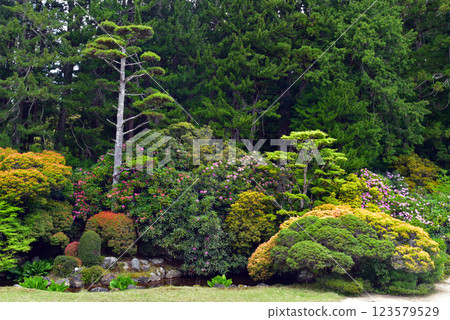 高野山金剛峰寺庭院 123579529