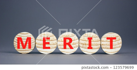 Merit symbol. Concept word Merit on beautiful wooden circles. Beautiful grey table grey background. Business lifestyle merit concept. Copy space. 123579699