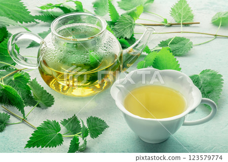 Nettle tea. Medicinal herbal tea with Urtica leaves. Fresh wild herb 123579774