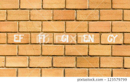 Efficiency symbol. Concept word Efficiency on beautiful brown bricks. Beautiful brown brick wall background. Business efficiency concept. Copy space. 123579799