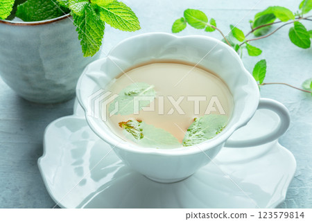 Mint tea. A cup of peppermint tea with fresh mint leaves Mint tea. A cup of peppermint tea with fresh mint leaves 123579814