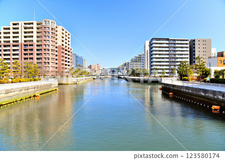 Shin-Takahashi Bridge / View towards Shin-Ogibashi Bridge from Onagi River (Koto-ku, Tokyo) [March 2025] 123580174
