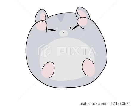 圓形剛果倉鼠 圓形剛果倉鼠 123580671