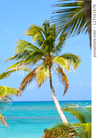 Palm on exotic beach Palm on exotic beach 123581076