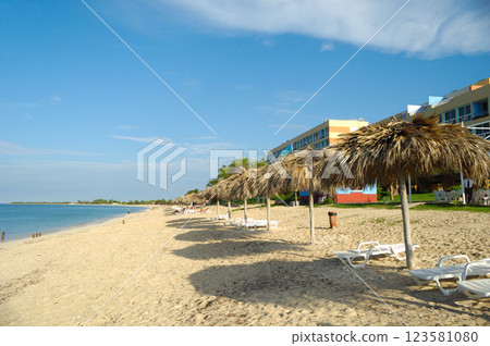 Beach with parasols and sunbeds Beach with parasols and sunbeds 123581080