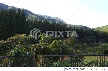 Ouchijuku Post Town Fukushima Tourism Ouchijuku Townscape Exhibition Hall Ouchijuku Observation Deck Edo Period Post Town Takakura Shrine First Torii 123581127