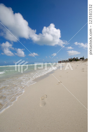 Costline at tropical beach Costline at tropical beach 123581532