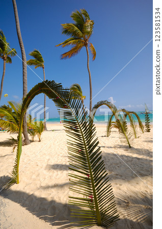 Wedding beach 123581534