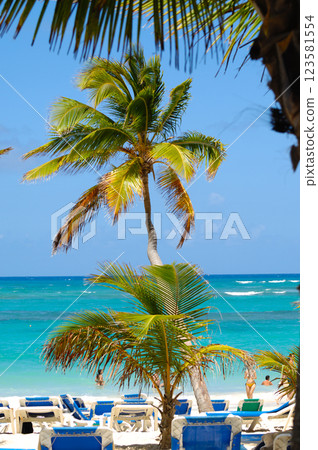 A sun lounger and palm at exotic beach with white sand A sun lounger and palm at exotic beach with white sand 123581554