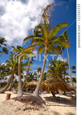 Tropical beach with palms 123581555