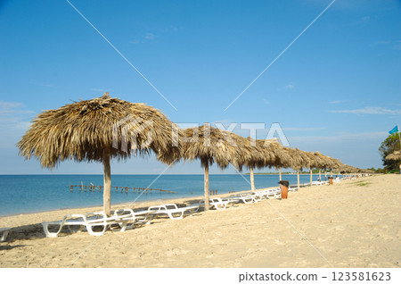 Beach with parasols and sunbeds 123581623