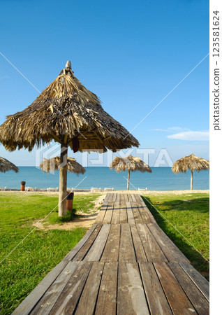 Beach with parasols and sunbeds 123581624
