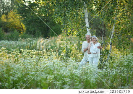 Loving mature couple in the park in summer 123581759