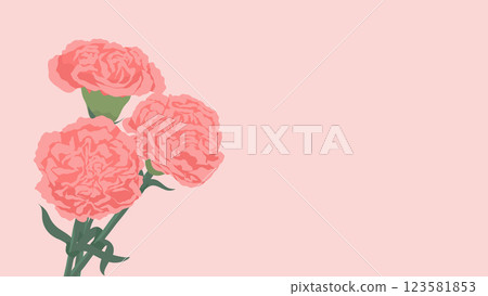 Pink carnation background image Pink carnation background image 123581853