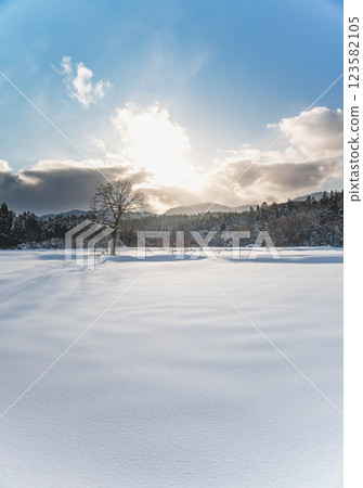 The snowy field and the sun 123582105