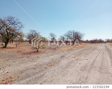 Scenery outside Gweta, Botswana 123582294