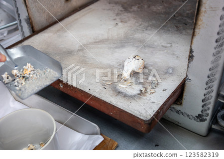 Dog funeral: remains of beloved dog 123582319