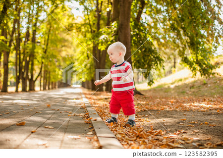 One-year-old little boy exploring the world in an autumn forest 123582395