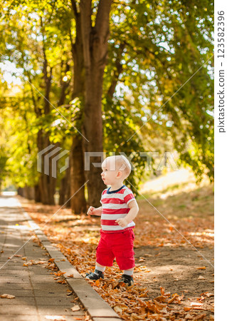 One-year-old little boy exploring the world in an autumn forest 123582396