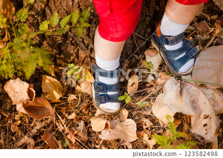 Baby feet in sandals on autumn leaves background 123582498